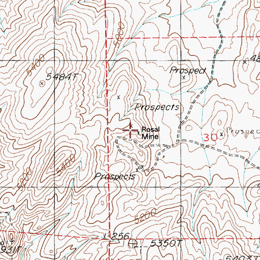 Topographic Map of Rosal Mine, NV