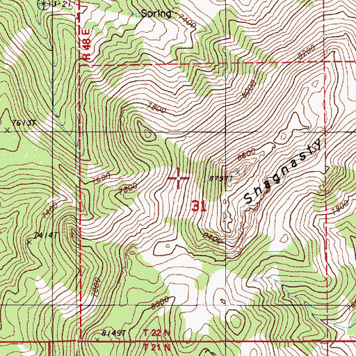 Topographic Map of Shagnasty, NV