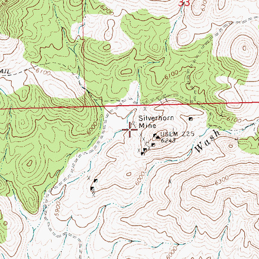 Topographic Map of Silverhorn Mine, NV