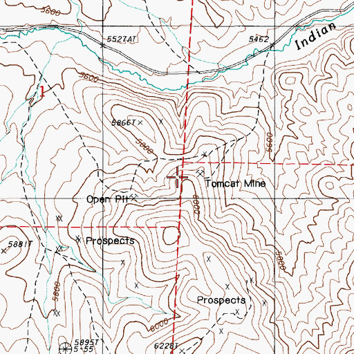 Topographic Map of Tomcat Mine, NV