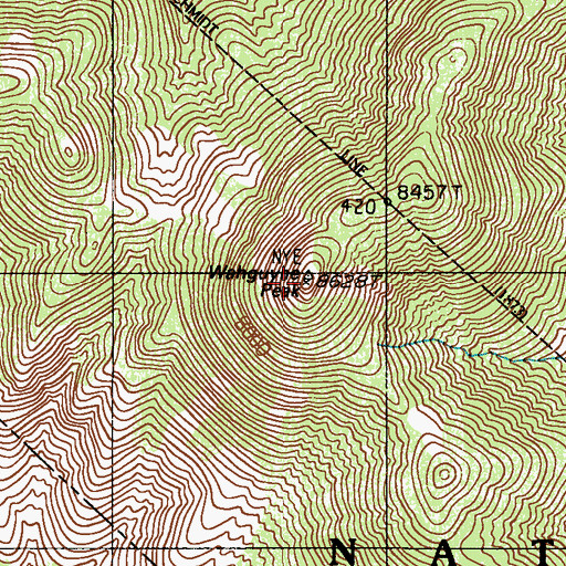 Topographic Map of Wahguyhe Peak, NV