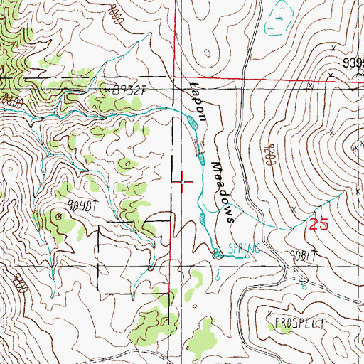 Topographic Map of Lapham Meadows, NV