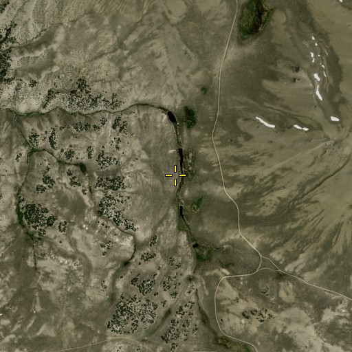 Aerial/Satellite Image of Lapham Meadows, NV