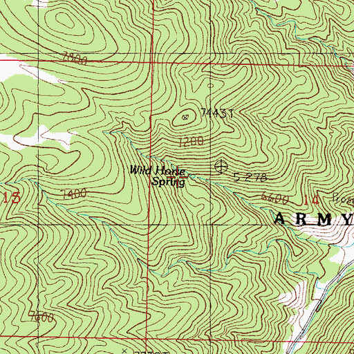 Topographic Map of Wild Horse Spring, NV