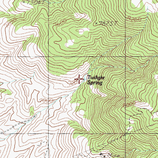 Topographic Map of Twilight Spring, NV