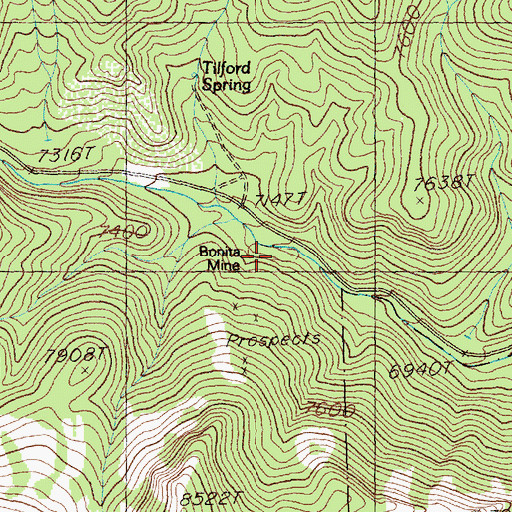 Topographic Map of Bonita Mine, NV