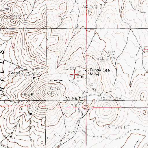 Topographic Map of Pansy Lee Mine, NV