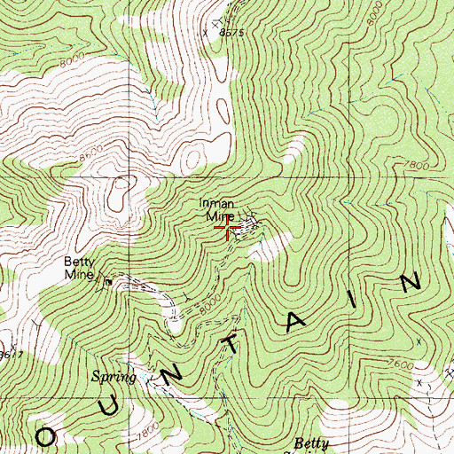 Topographic Map of Inman Mine, NV