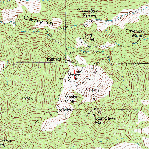 Topographic Map of Mina Mine, NV