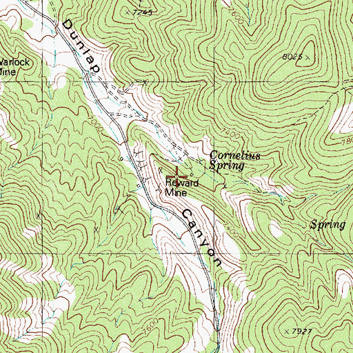 Topographic Map of Reward Mine, NV