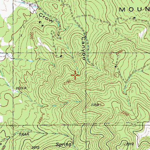 Topographic Map of Crow Spring, NV