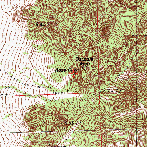 Topographic Map of Rose Cave Guano Mine, NV