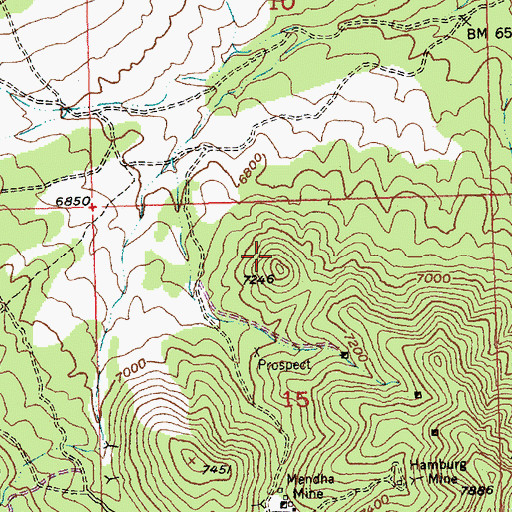 Topographic Map of Highland Mining District, NV