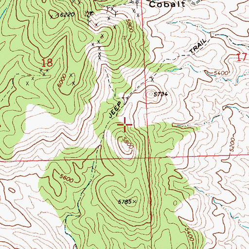 Topographic Map of Chief Mining District, NV