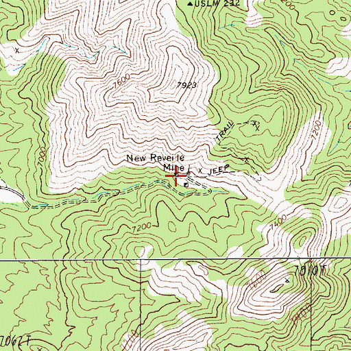 Topographic Map of New Reveille (historical), NV