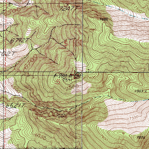 Topographic Map of New Pass Mining District, NV