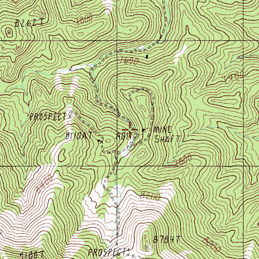 Topographic Map of Eden Mine, NV