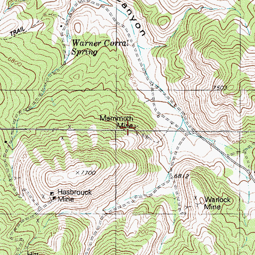 Topographic Map of Mammoth Mine, NV