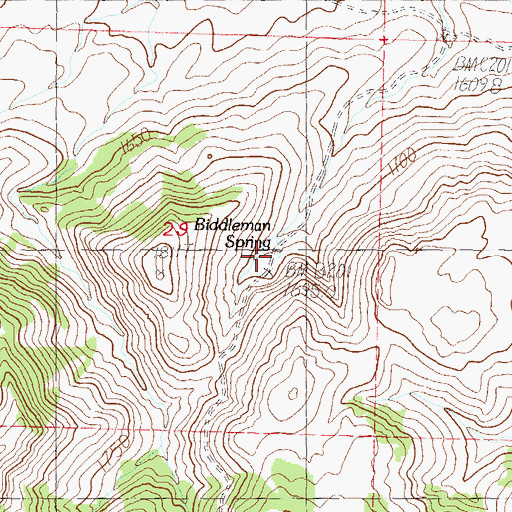 Topographic Map of Biddleman Spring, NV