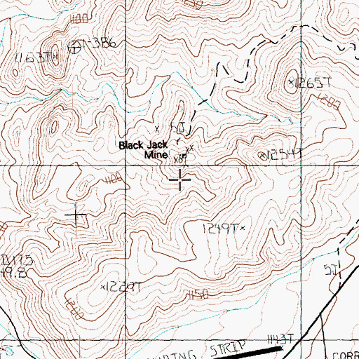 Topographic Map of Black Jack Mine, NV