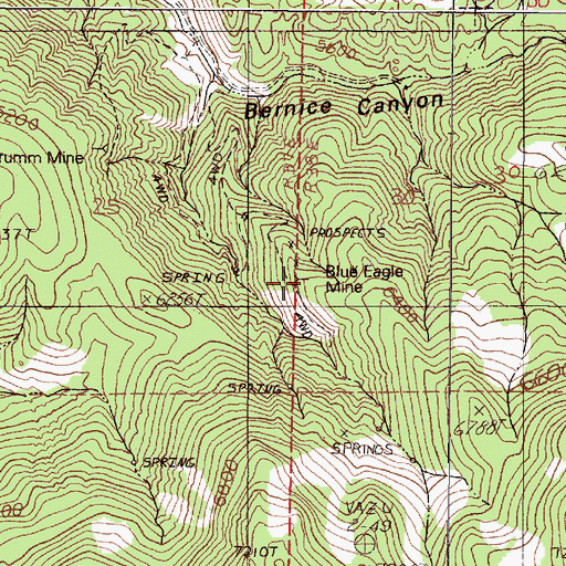 Topographic Map of Blue Eagle Mine, NV