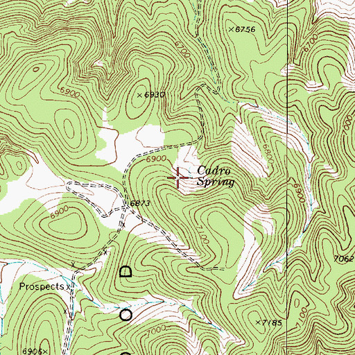 Topographic Map of Cadro Spring, NV