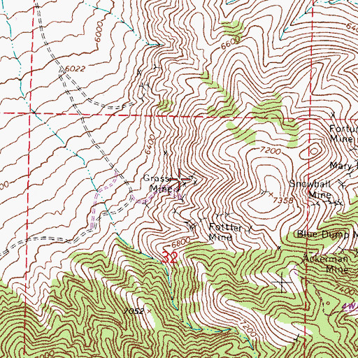 Topographic Map of Grassi Mine, NV