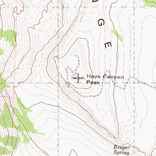 Topographic Map of Hays Canyon Peak, NV