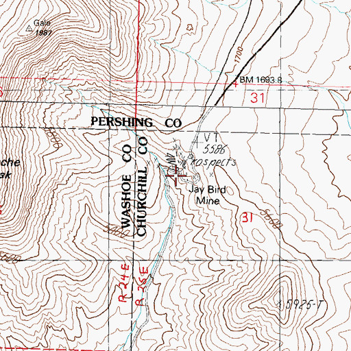 Topographic Map of Jay Bird Mine, NV