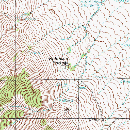 Topographic Map of Robinson Springs, NV