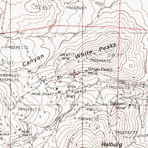 Topographic Map of White Peaks Mine, NV