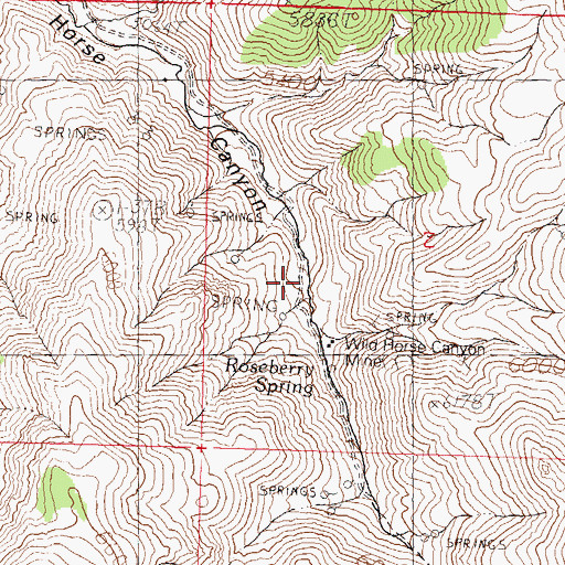 Topographic Map of Wild Horse Canyon Mine, NV