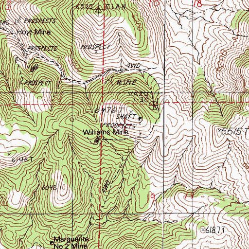 Topographic Map of Williams Mine, NV