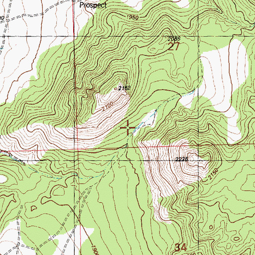 Topographic Map of White Horse Springs, NV