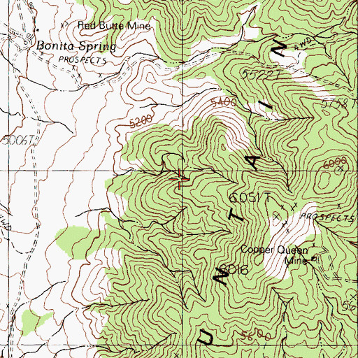 Topographic Map of Red Butte Mining District, NV