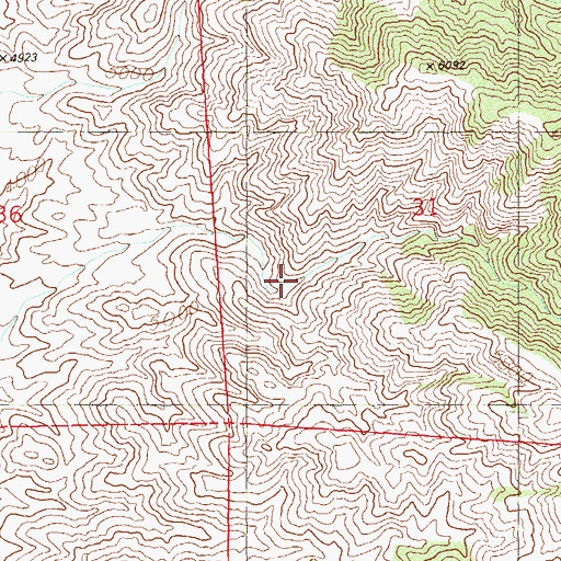 Topographic Map of Double Standard Mine, NV