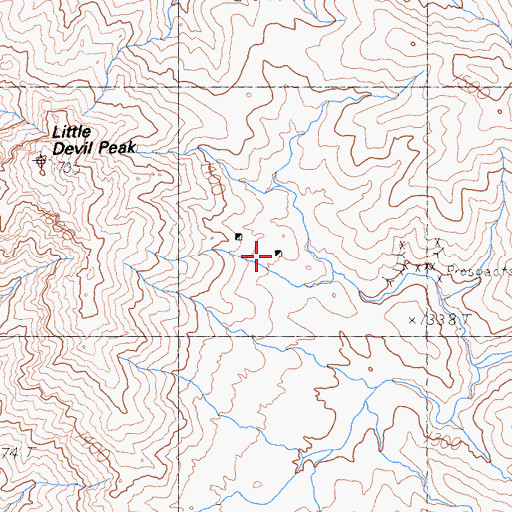 Topographic Map of Silver Gem Mine, NV