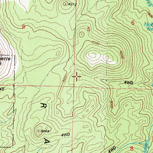 Topographic Map of Backcountry Management Area, NV