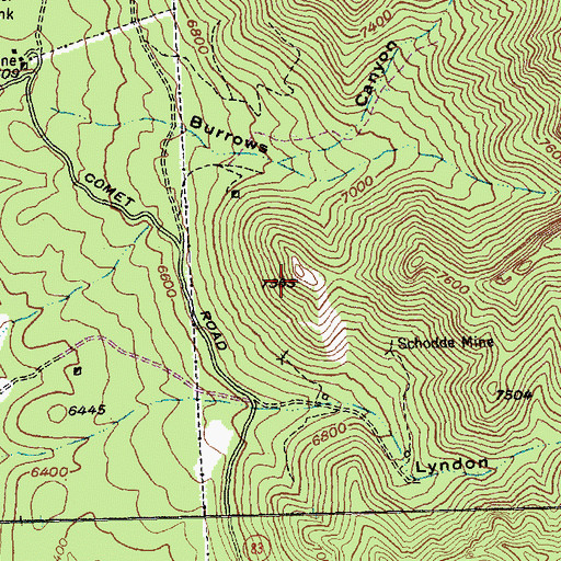 Topographic Map of Silver Comet Mine, NV