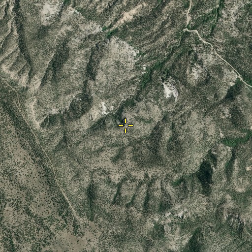Aerial/Satellite Image of Cattle Pass, NV