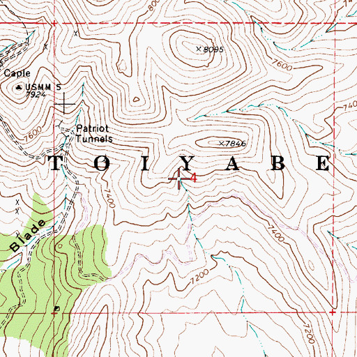 Topographic Map of Whitlach Yankee Blade Mine, NV