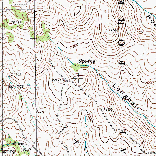 Topographic Map of Valley View Mining District, NV