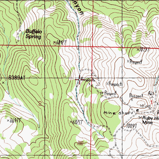Topographic Map of Pine Nut Consolidated Mine, NV