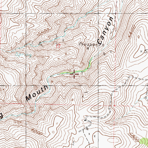 Topographic Map of Big Mouth Mine, NV