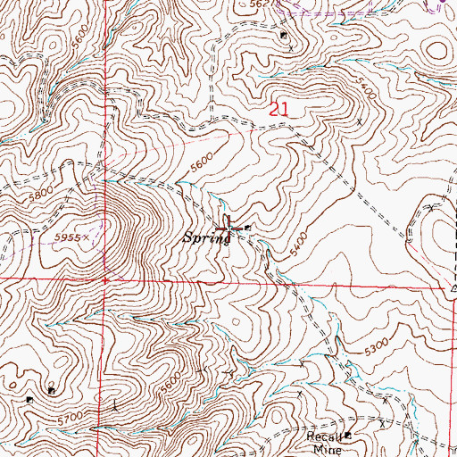 Topographic Map of Black Panther Mine, NV