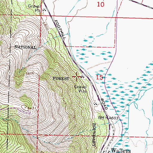 Topographic Map of Simon Extension Mine, NV