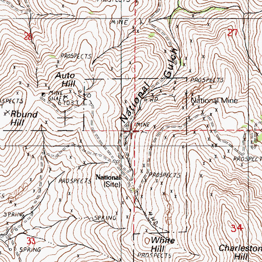 Topographic Map of Mammoth Mine, NV