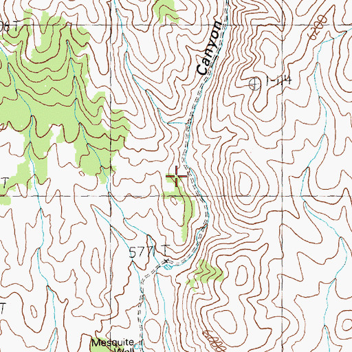 Topographic Map of Mesquite Well, NV