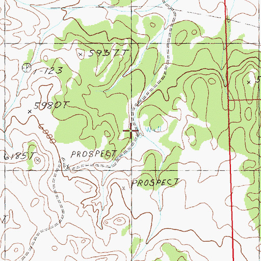 Topographic Map of New Well, NV