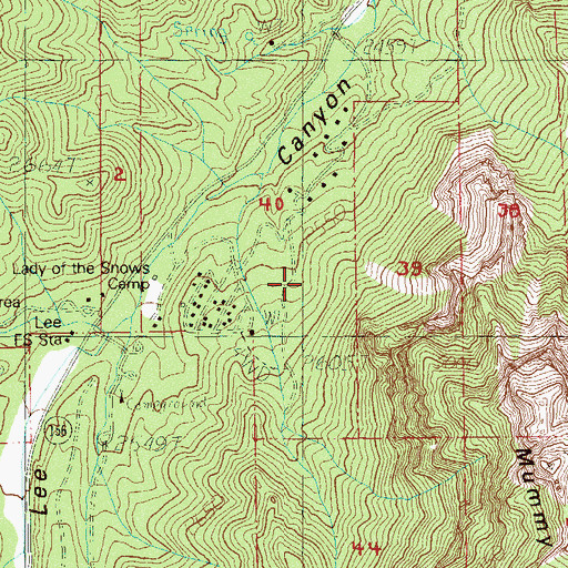 Topographic Map of Lee Canyon Summer Home Area, NV